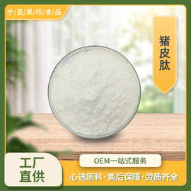 猪皮肽  98%工厂现货包邮小分子肽活性肽 猪皮胶原蛋白肽