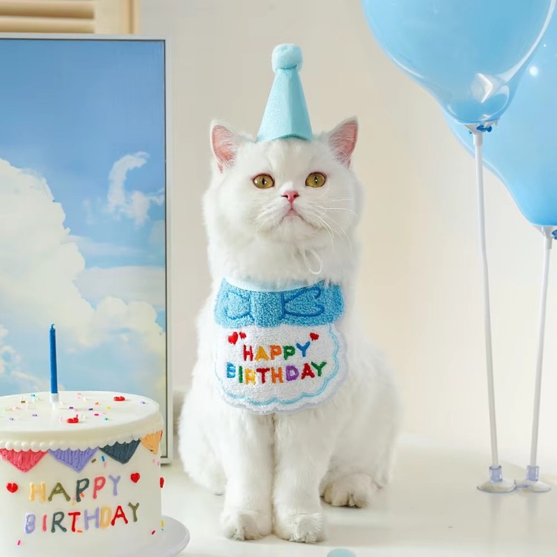 跨境宠物围兜围巾狗狗猫咪生日帽装扮派对装饰用品口水巾宠物帽子|undefined