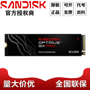 �W�Ϲ̑BӲ�PGX PRO 8100 1T 2T 4T M.2�ӿڹ̑BӲ�P̨ʽ��XSSD