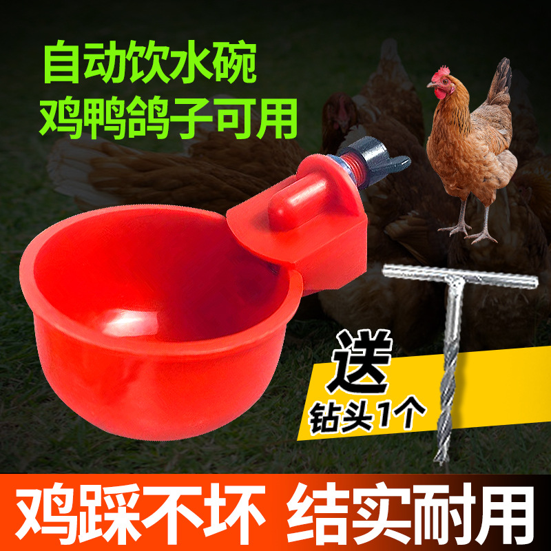 Bebedero automático para criar pollos, pollo, pato, ganso, cuenco de agua, paloma, cuenco de agua, codorniz, aves, aves, pollitos, artefacto de alimentación de agua