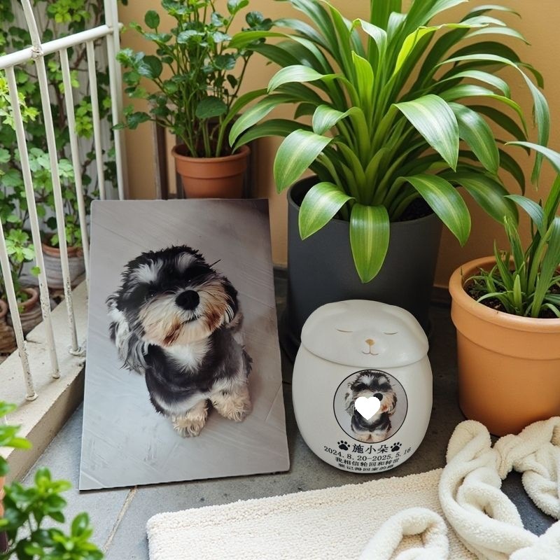 개/인쇄 + 사진 - 작은 크기 + 6inch 사진을 받으세요