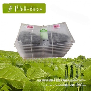 ���r����B�Q�N�Q���Q�����Q�N�����a�߮a���������N�������Ӄr