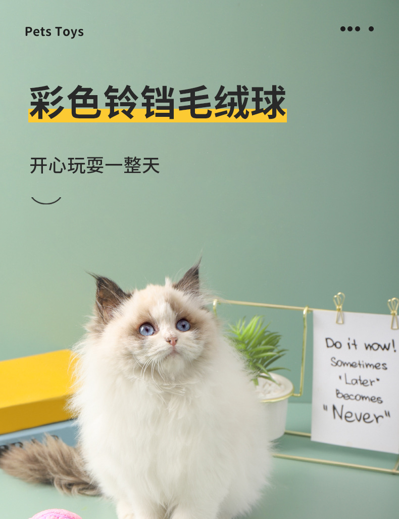 详情_01.jpg