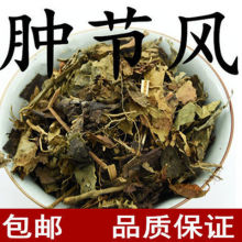 �[���L �Ź��衢�Ź��L���ӹ�ɏ����ɺ����؛��؛