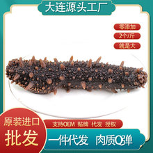 ����˹�Ӻ������l�M�����������t���������_˹���u���O�t�̅�����