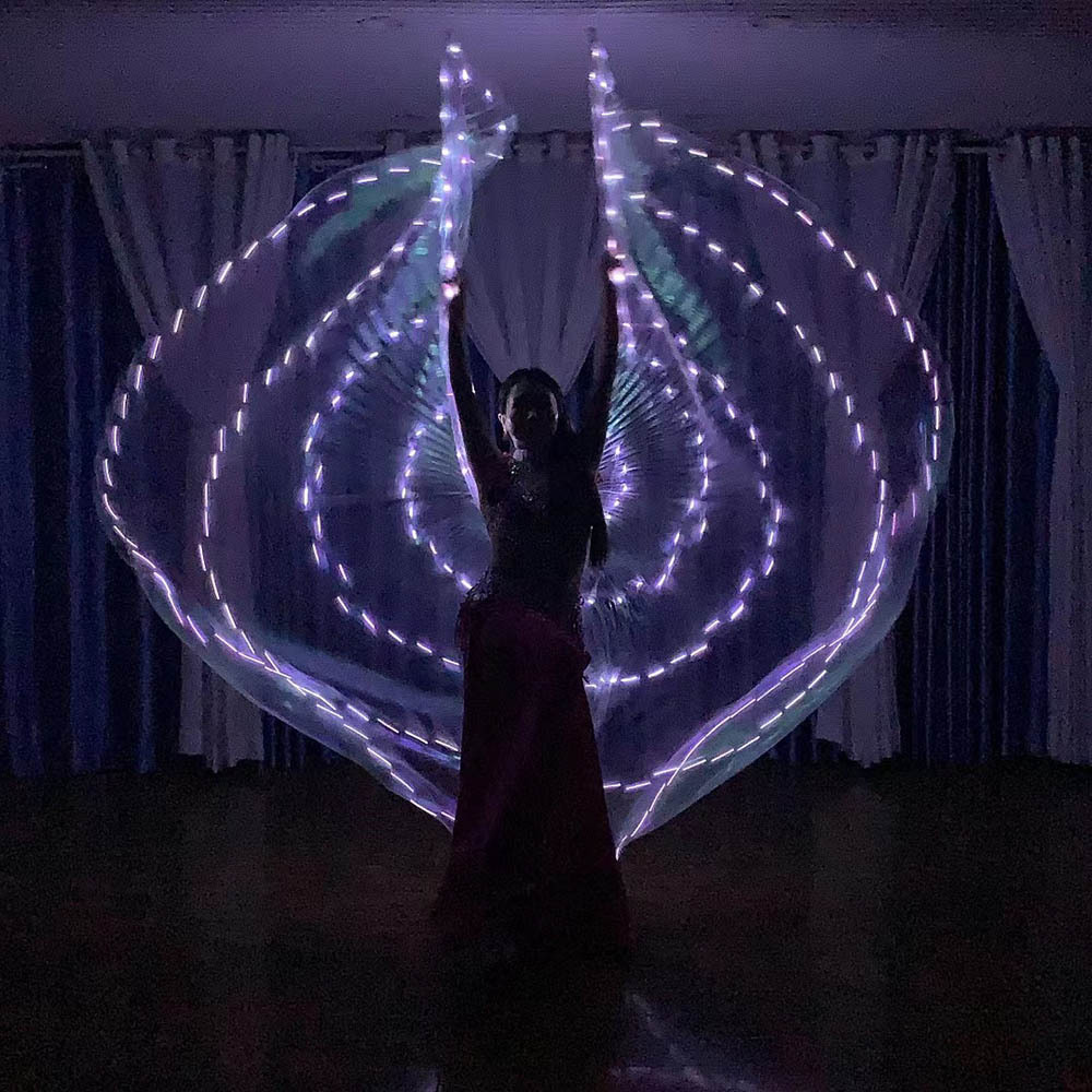 LED golden wings, add light wings, transparent, glowing, colorful, belly dance, Egyptian prop dance stage, direct sale, fluorescent