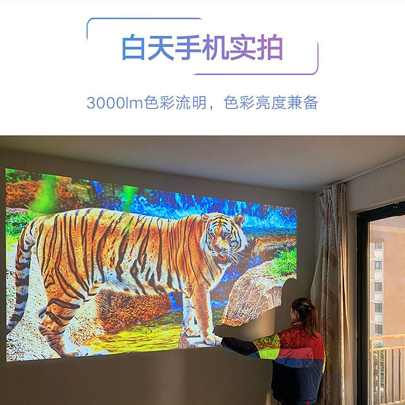 Epson CO-FH01 плюс голоса озвучивания, проектор, домашний выставочный зал, конференц-зал, обучение и образование