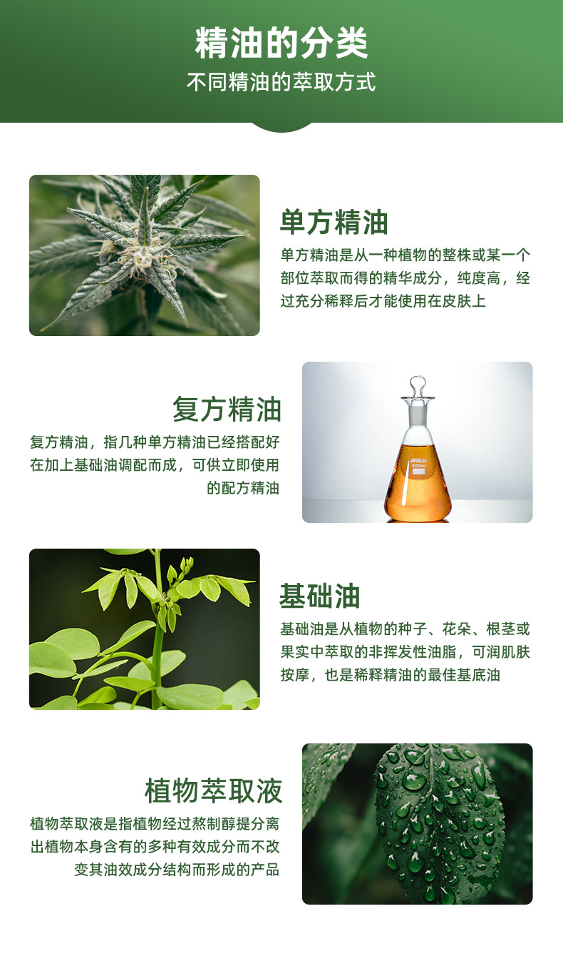 13精油类型.jpg