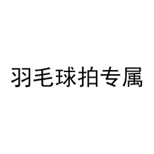 【星马专属】羽毛球拍专属链接ZHR