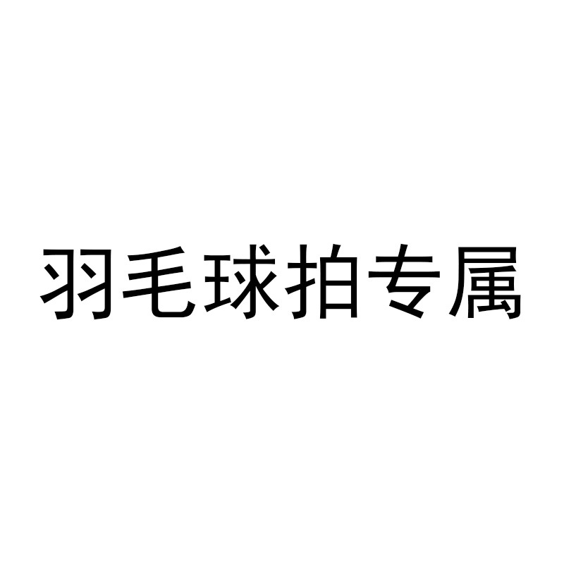 【星马专属】羽毛球拍专属链接ZHR