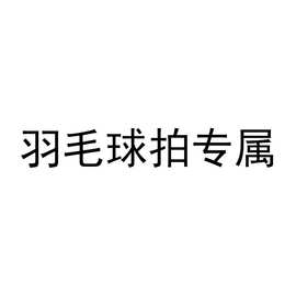 【万佳超市专属】羽毛球拍专属链接ZHR