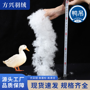 ���d��q�S��ֱ��95%�������q�����q�������坍��ɢ�b���l���±�