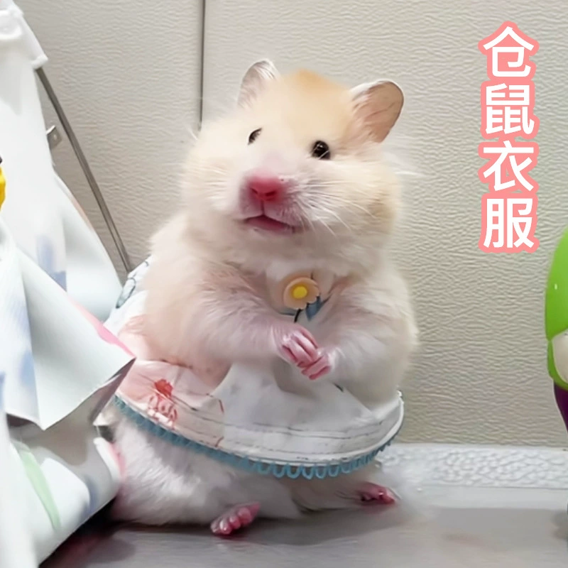 Hamster clothes Four Seasons General Clothing Skirt Small Pet Dress Golden Film Bear Dutch Pork Flower Branches Rats Clothing