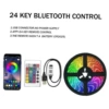 5V-24-key Bluetooth tick (30 lights/m)