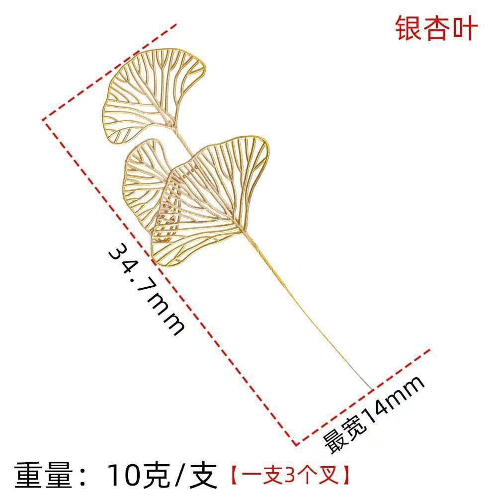 Ginkgo biloba single branch