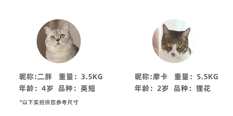 未标题-3