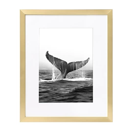 相框、画框;其他装饰框架;PVC