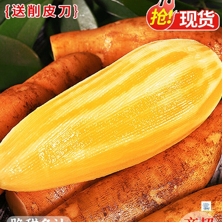 清甜口感雪莲果产品展示图