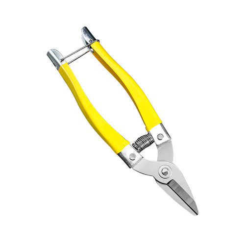 Stainless steel large fruit picking scissors, grape scissors, orange and tangerine fruit scissors, straight head fruit picking branch scissors, round head gardening fruit picking scissors