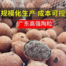 �V�|�ߏ����̽��B�����l���g������픻����������������T�麣���l