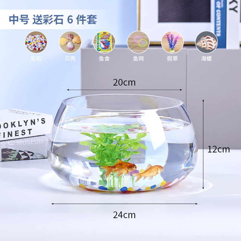 중간 거북이 실린더 컬러 스톤 6 피스 세트