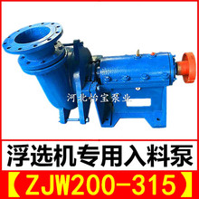 ZJW200-315浮选机入料泵厂家 55KW浮选机上料给料喂料水泵