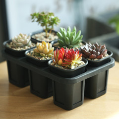 6孔蓄水托架透氣萬象盆蓄水托盤小號萬象盆托架配多肉八角盆