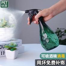 浇花喷壶气压式喷雾器园艺喷花壶洒水细雾淋花喷水壶