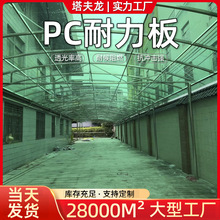 SֱNGɫ͸̼픭hpcĥɰӹ