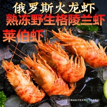 ���_˹�M����������m�R���r �����r���r���r���ӹ����Ϻ��r�Y��