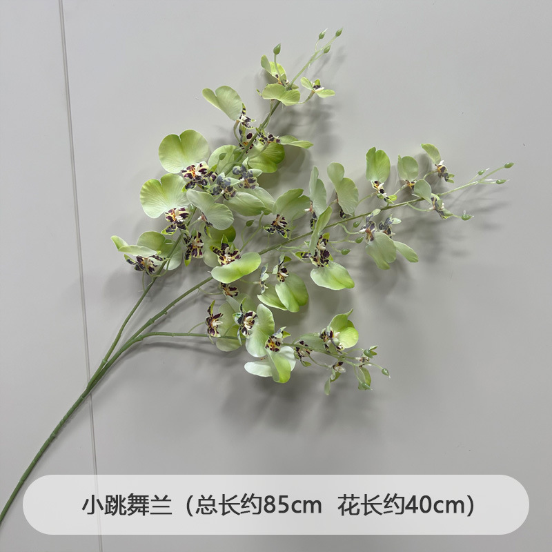 芦荀草绿植花龙须草假花白绿森系婚庆装饰自然风背景插花路引|undefined