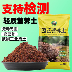 ֲ��ͨ���͠I�B�����ܷNֲ���B���N�˸�ֳ��̿���@ˇ����Ҭ����