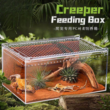 ������B��͸��������һ�w��M�b�ľ�з��B��ϐ�������x���B��