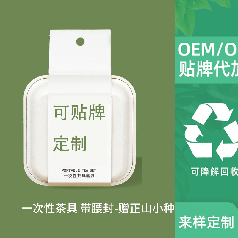 博赢环保一次性旅行茶具茶盒便携式功夫茶具盒套装会子茶礼茶饼