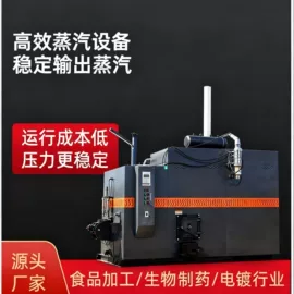 燃生物质锅炉;蒸汽发生器;燃煤锅炉