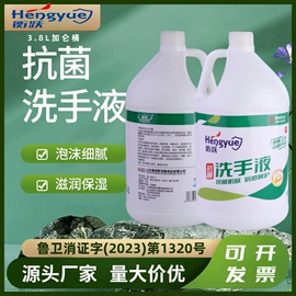 家居消毒液;抑菌洗手液;多用途清洁剂