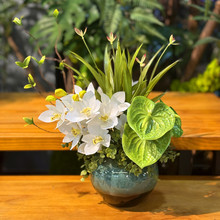 ʽŵL滨ٻGֲ[͏dҾ Pb