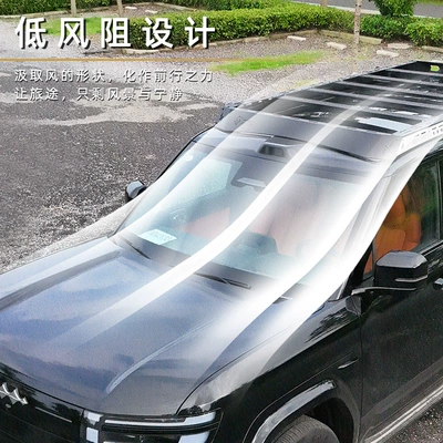 Side Ladder Side Armor — Roof rack