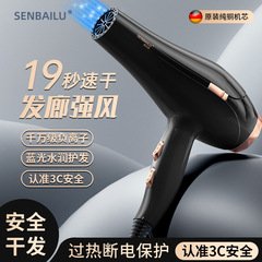 クロスボーダーヘアドライヤー家庭用ブルーレイ冷熱風マイナスイオン大出力ヘアトリートメントドライヤー
