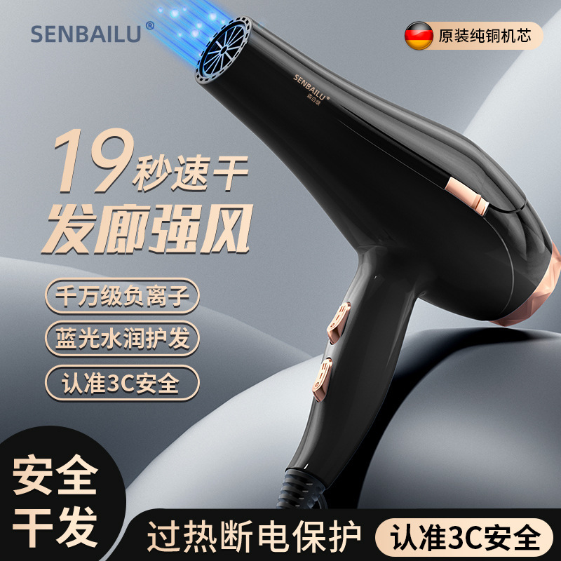 Cross-border Hair Dryer Home Blue Light Cold and Hot Air Negative Ion High-power Hair Salon Hair Care Hair Dryer Gift Hair