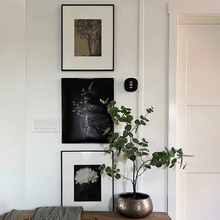 流年 意境风景黑白挂画复古植物小众艺术装饰画现代简约玄关挂画
