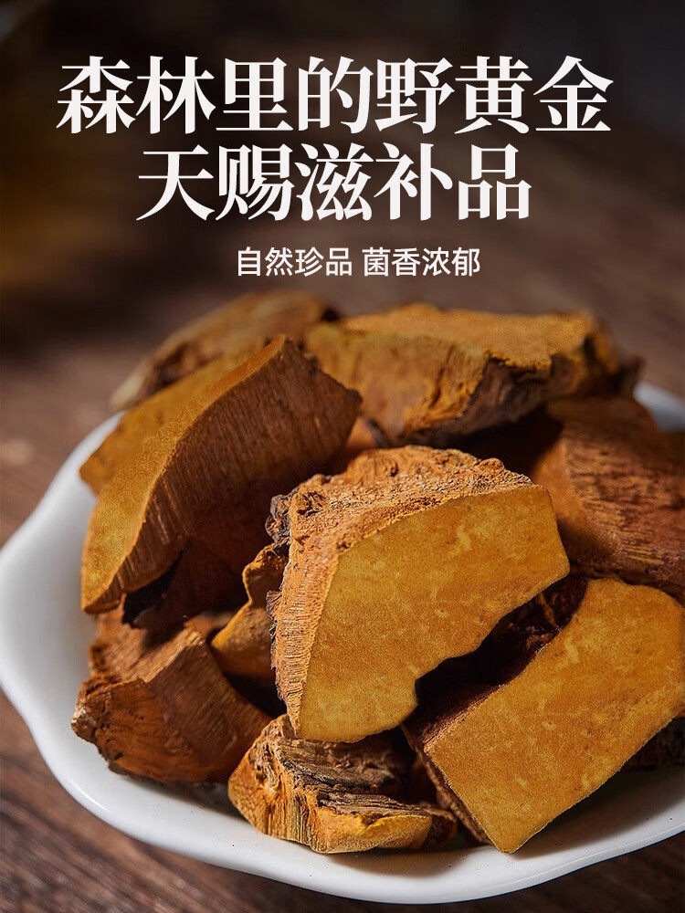 Sang Huang Dried Phellinus Mushroom Premium Tibet Grade Tea Herb 375g Set quality and texture