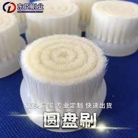 厂家定制 塑料/尼龙丝各种刷丝圆盘刷 加工定制清洗除尘圆盘刷种
