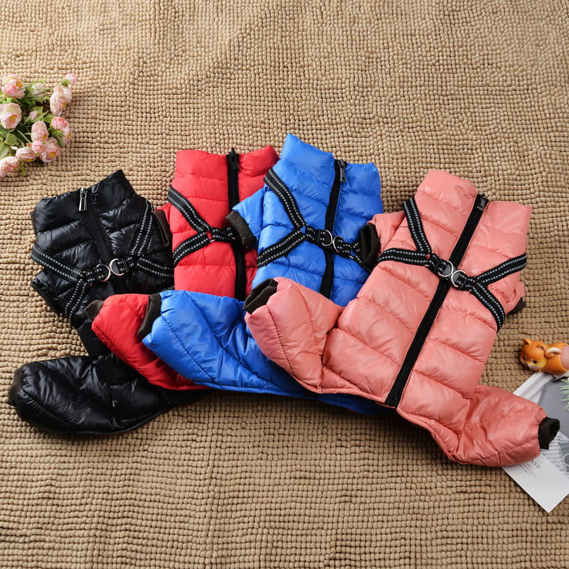 ペットの犬の服の胸と背中が一体になっています。|undefined