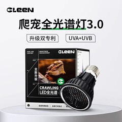 クレンはペット専用のランプを登ります。亀は保温します。