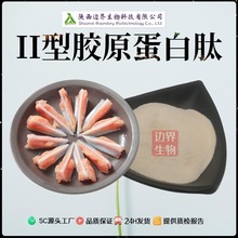 二型胶原蛋白肽99%II型胶原蛋白粉/软骨粉/鸡软骨蛋白肽原料