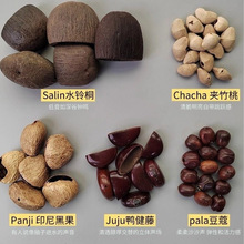 水铃桐黑果鸭健藤花豆寇单颗果壳摇铃挂件diy果壳包挂挂件果壳