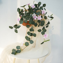 �¿����l�������ٻ��ٗlֲ��@��c���^����ֲ����涹������