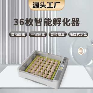 ���S36ö�羳������ �Bֳ�����յ��O��С�u�������C