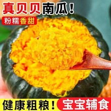 正宗新鲜贝贝小南瓜板栗味宝宝辅食孕妇可食用整箱装甜糯